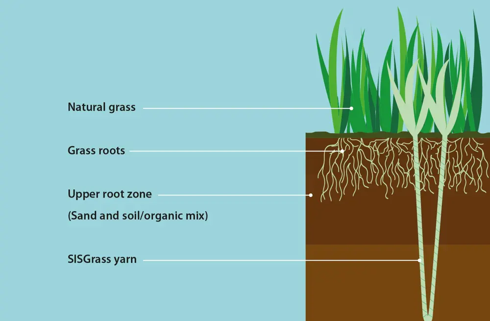 A schematic of a hybrid grass system. The base of the SISGrass yarn sits below the upper root zone (consisting of sand and soil mix), which contains the grass roots and helps to support natural grass. 
