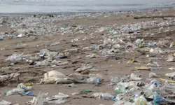 Plastic waste covering a beach.