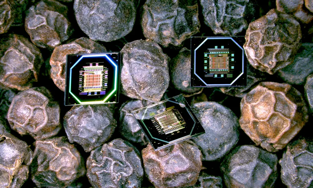 A close up of three black semiconductor chips, with colourful intricate patterns just visible, sitting amongst a bed of black peppercorns.
