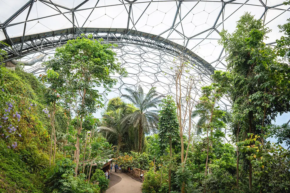 A large indoor biome filled with tall tropical plants and trees beneath a curved, honeycomb‑patterned glass dome.
