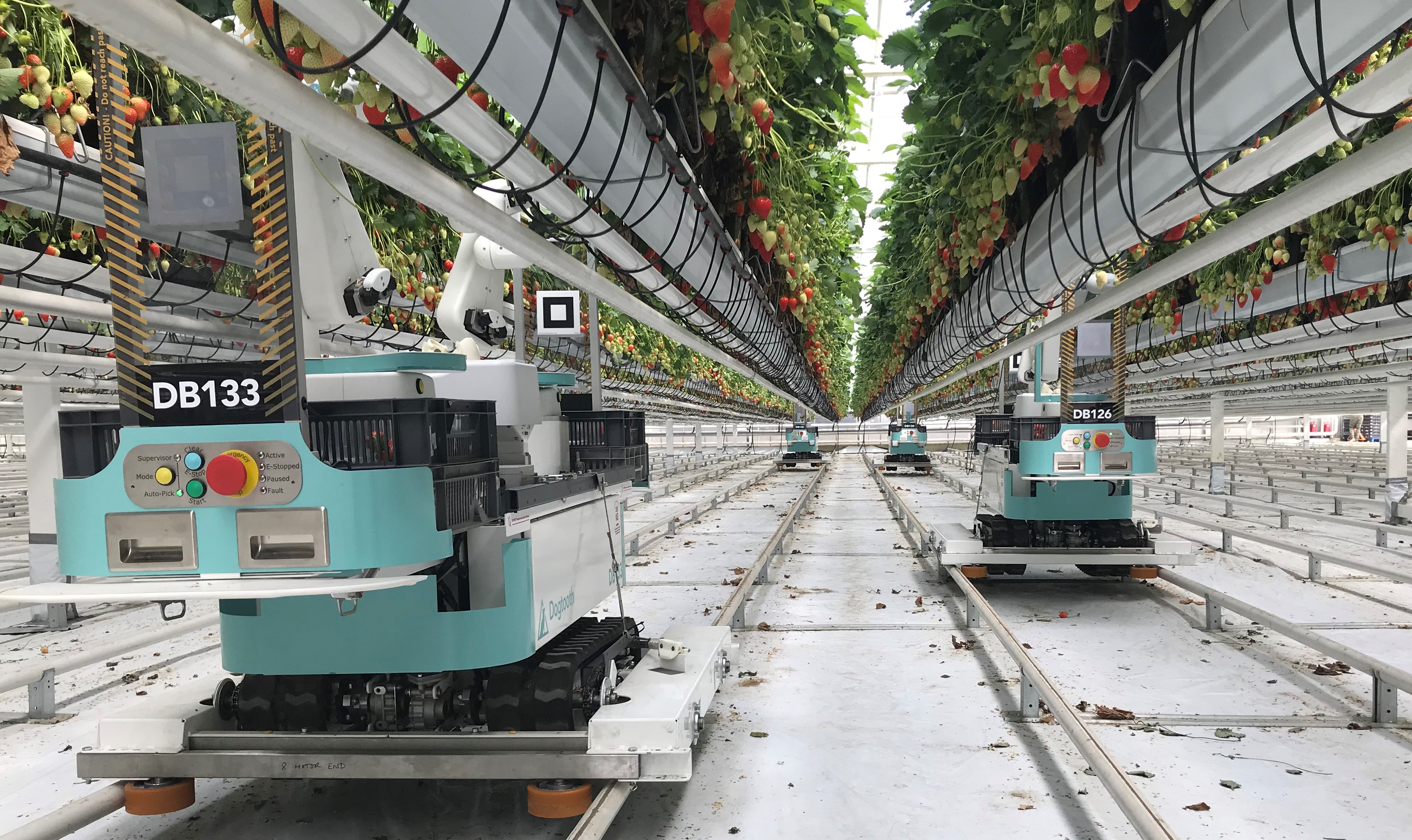 Fruit-picking Robots | Ingenia