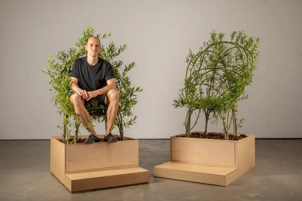 Two chairs growing out of large wooden planters, they are made from willow and a man is sitting in one of them