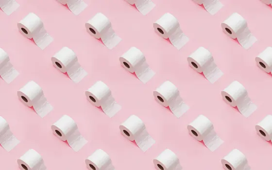 An array of toilet rolls on a pink surface.