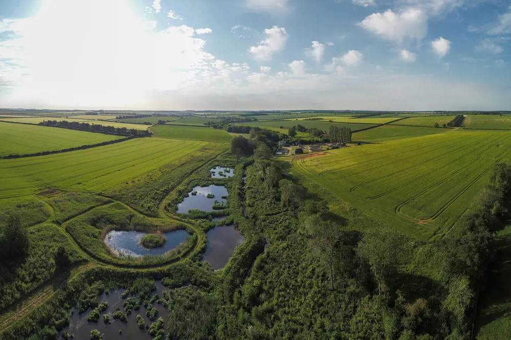 Aerial view of five connected wetlands next to a stream