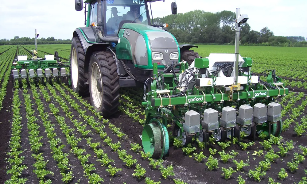 A tractor in a field of linearly planted crops, attached to a Garford Robocrop automatic hoe system, which is aligned with the spacing of the crops.