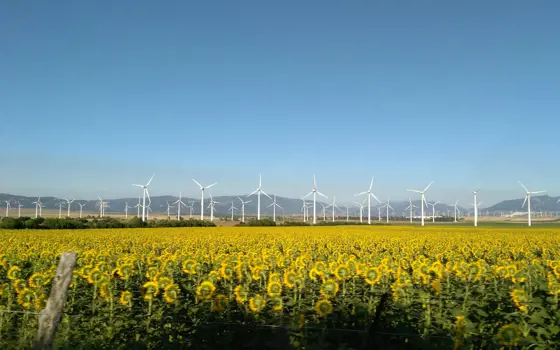 A wind turbine with fields of sunflowers in front of it