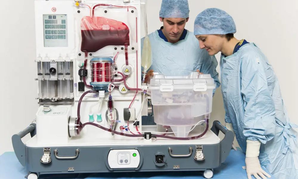 Two medical professionals wearing scrubs looking at a transplant liver in the OrganOx machine. Oxygenated and deoxygenated blood tubing are supplying blood to the liver.