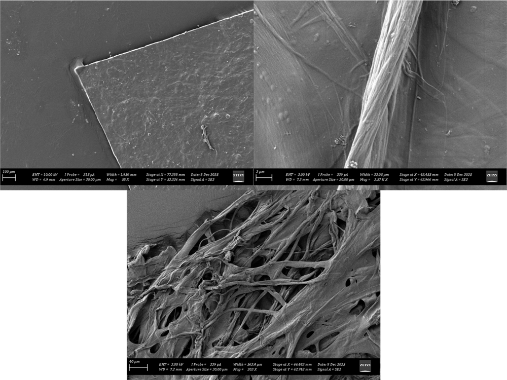 Three black-and-white scanning electron microscope images showing thin films and fibrous structures at different magnifications, with scale bars and measurement details visible.