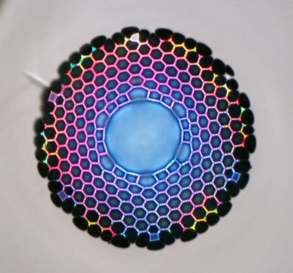 A multicoloured hollow core fibre with an empty inside circular diameter surrounded by honeycombed patterned cladding that stretches to the outer diameter. 