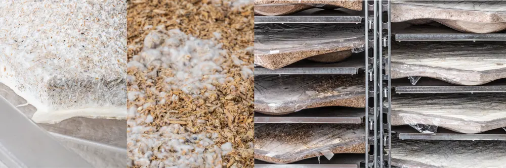 Photos of mycelium growing on straw at different stages in its lifetime, before being made into tiles.