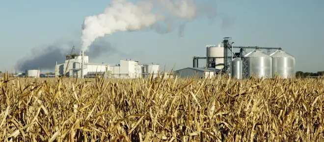 A field of wheat with a factory in the background containing silos and smoke coming out of a chimney.