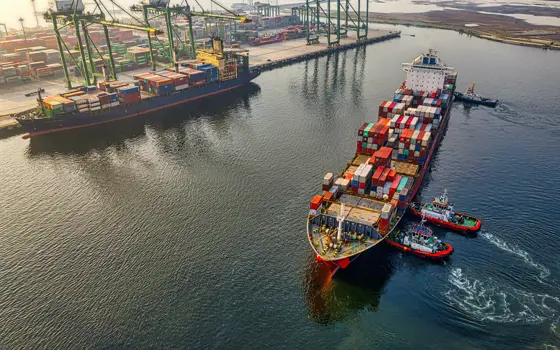 Two container ships at harbour viewed from above, with green cranes on the dock.