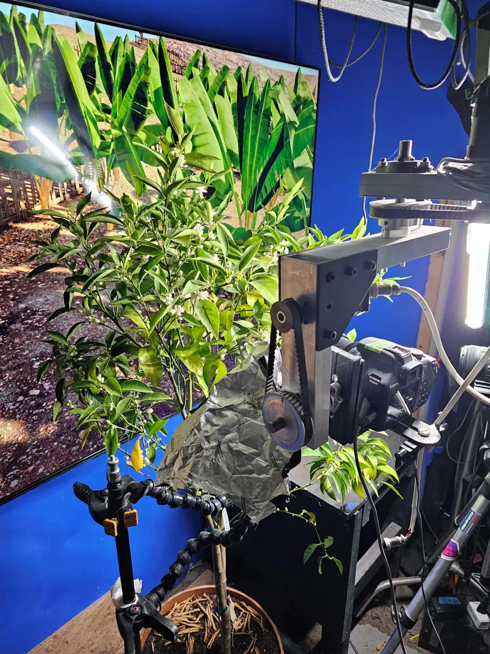 Close-up of a mechanical rig and camera setup positioned near green plants, with bright studio lights and a large backdrop showing a tropical scene.