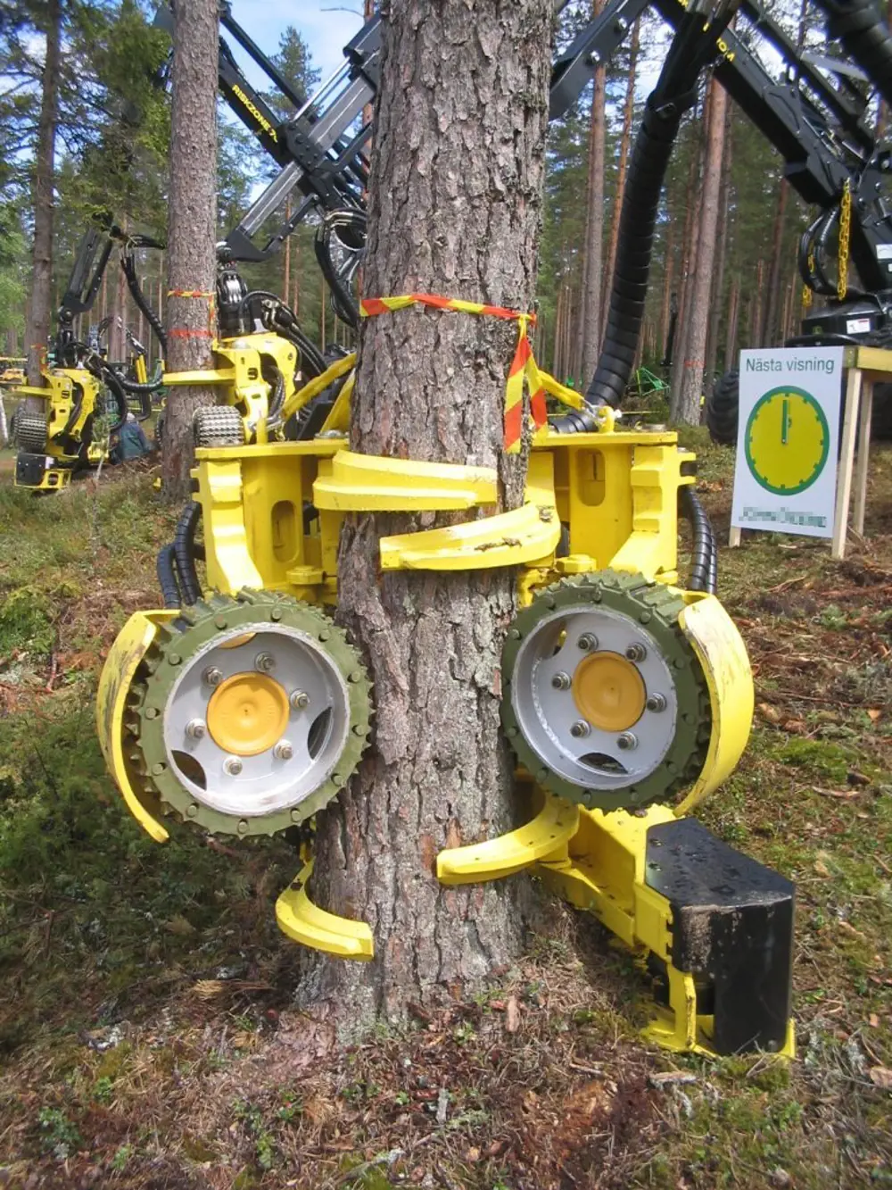 A tree harvester gripping the base of a tree, with its circular chainsaws cutting into the trunk.