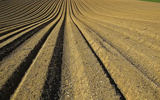 A photograph of a ploughed bare field.