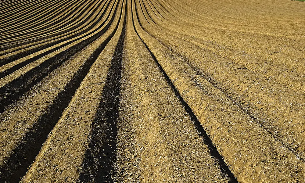 A photograph of a ploughed bare field.