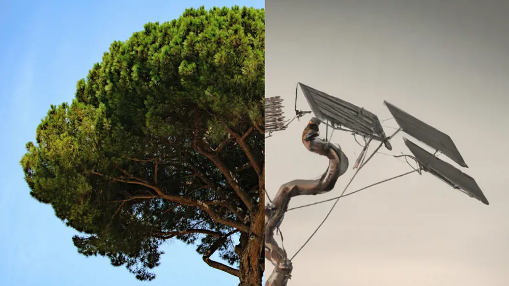 Left half of the image depicts a tree; the right half of the image shows a trunk with solar panels branching from it