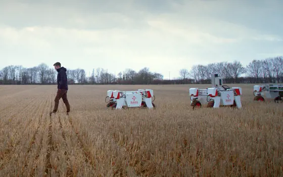 A male robotics engineer with agricultural robots in a field of crops.